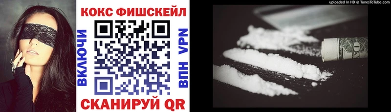COCAIN Fish Scale  Купить  Димитровград 
