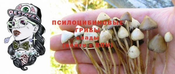 мет Заводоуковск