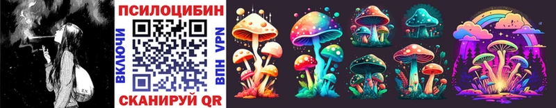 Купить  Димитровград  Галлюциногенные грибы Psilocybine cubensis